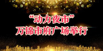 “动力夜市”开锣 万锦市府广场举行